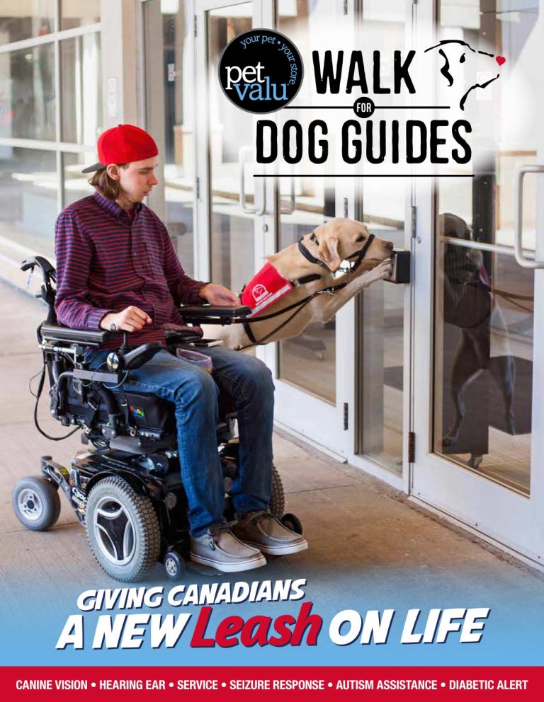 Walk for Dog Guides Grantham Lions Club